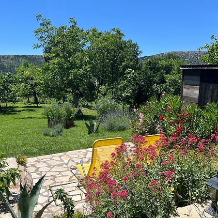 Villa Cocoon - Vacation Home With Heated Pool & Garden Bribir  Exterior foto